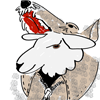 problem Icon