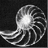 problem Icon