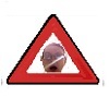 problem Icon